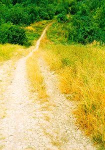 Path (redscale film)