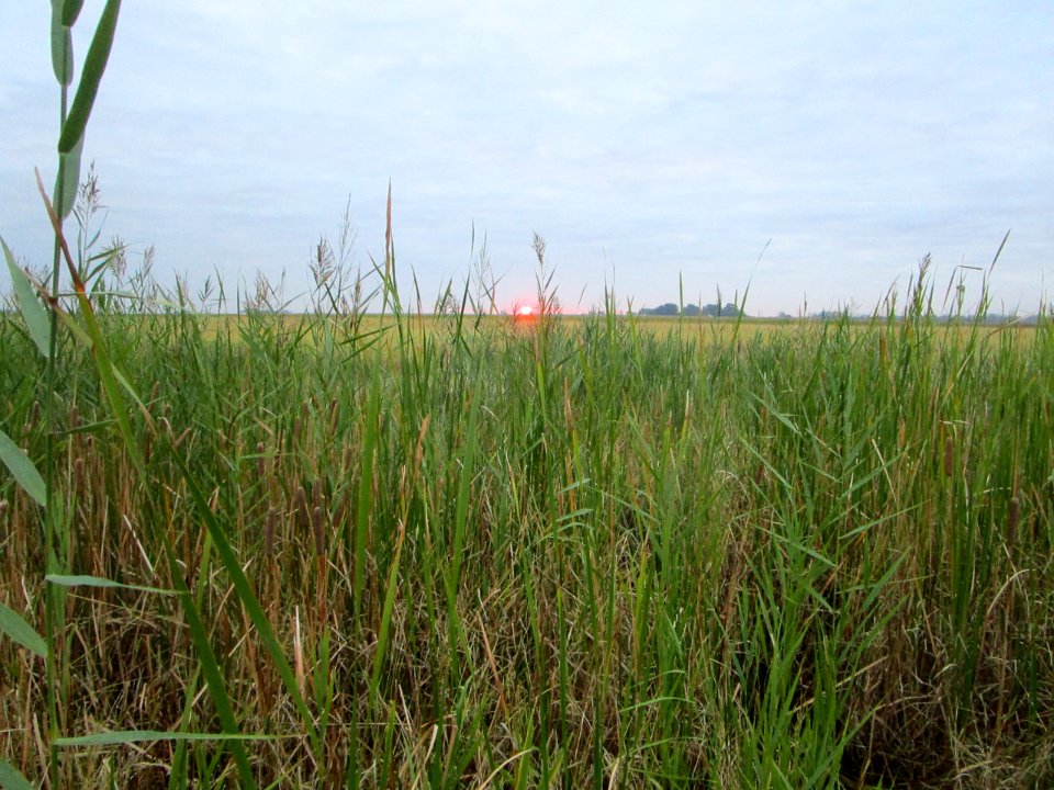 IMG 2518 Sunrise Whispering Willows Area Kankakee Co IL 10-4-2016