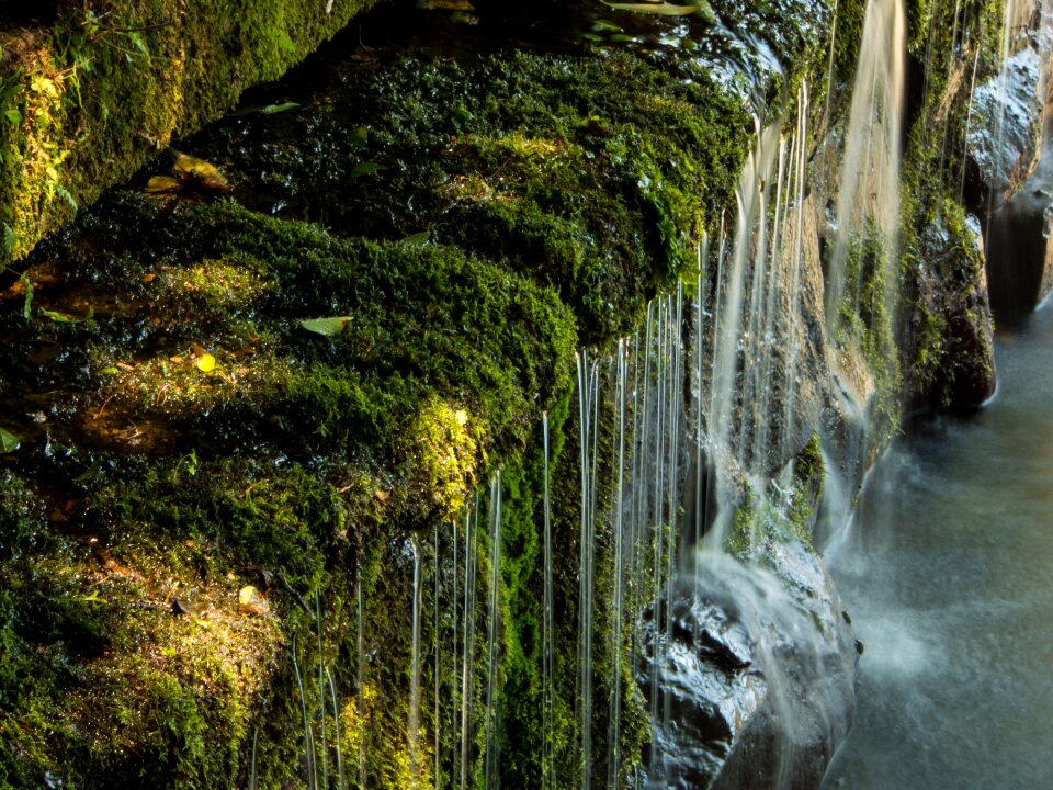 Kumamoto spring water roar water source