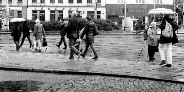 Ricoh TLS 401 with Helios 44-2 - People in a Hurry 3