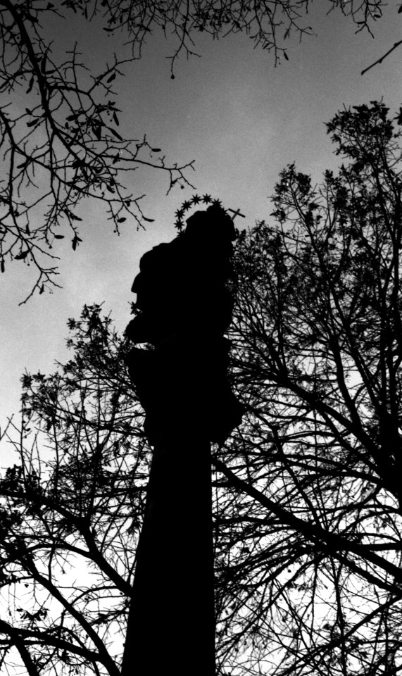Kiev 4 + Helios 103 - Silhouette of Virgin Mary, Stars and Branches