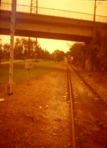 Chaika 3 - Redscale - New Scan - Rail 2