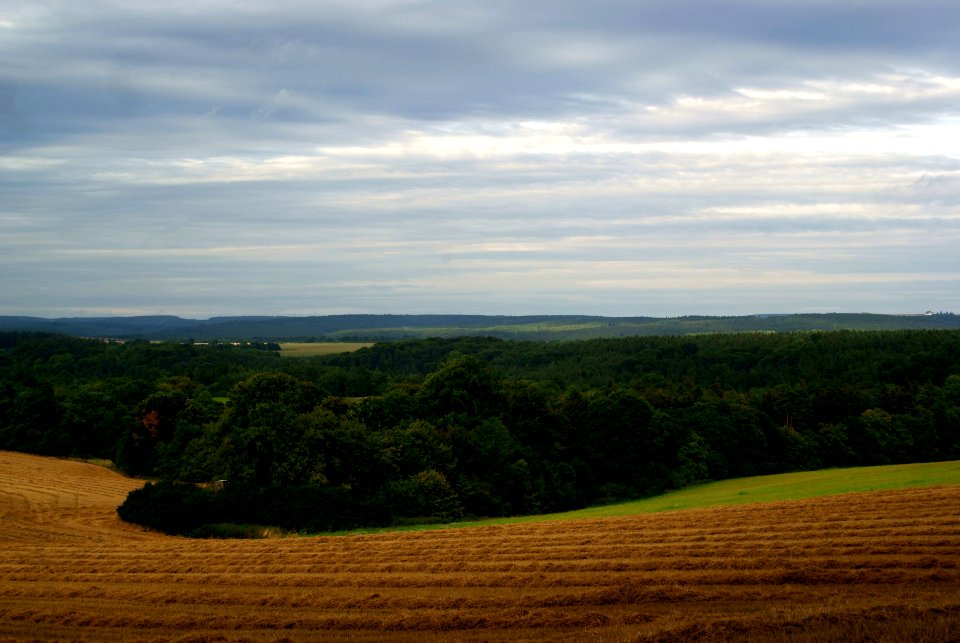 Sony Alpha A230 with MIR-1V- Landscape after the Rain