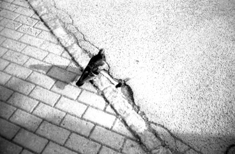 Minolta Hi-Matic G - Borderline