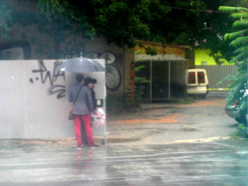 Colours of Rainy Day 2