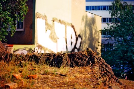 Canon EOS 30 - Beauty of Abandoned Place 3 photo