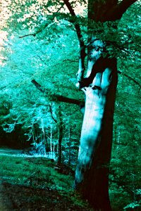 Praktica MTL 5 + MIR-1V - Lomography LomoChrome Purple - Mystic Woods 2