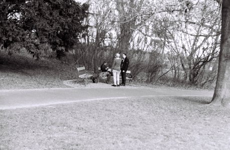 Zorki 4 + Industar-61 L/D - Park Scene