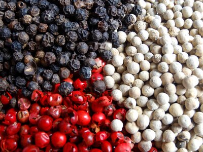 Peppercorns red black food photo