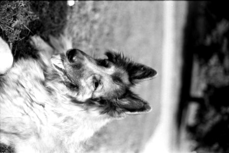 Canon EOS30 - New Scan - Eli (Eliška) 2