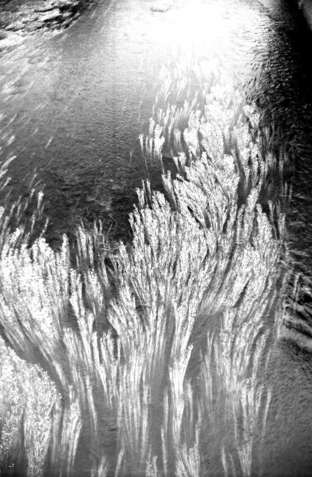 Ricoh TLS 401 with MIR-1V - Svratka River