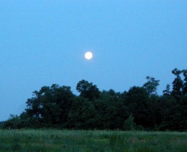 DSCN0070c Full Moon Mskoda Sands Kankakee Co IL 6-20-2016