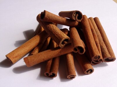Cinnamon spices bark