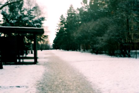 Praktica MTL3 + Edixa-Iscotar - Winter Scene