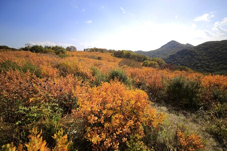 Autumn views nature