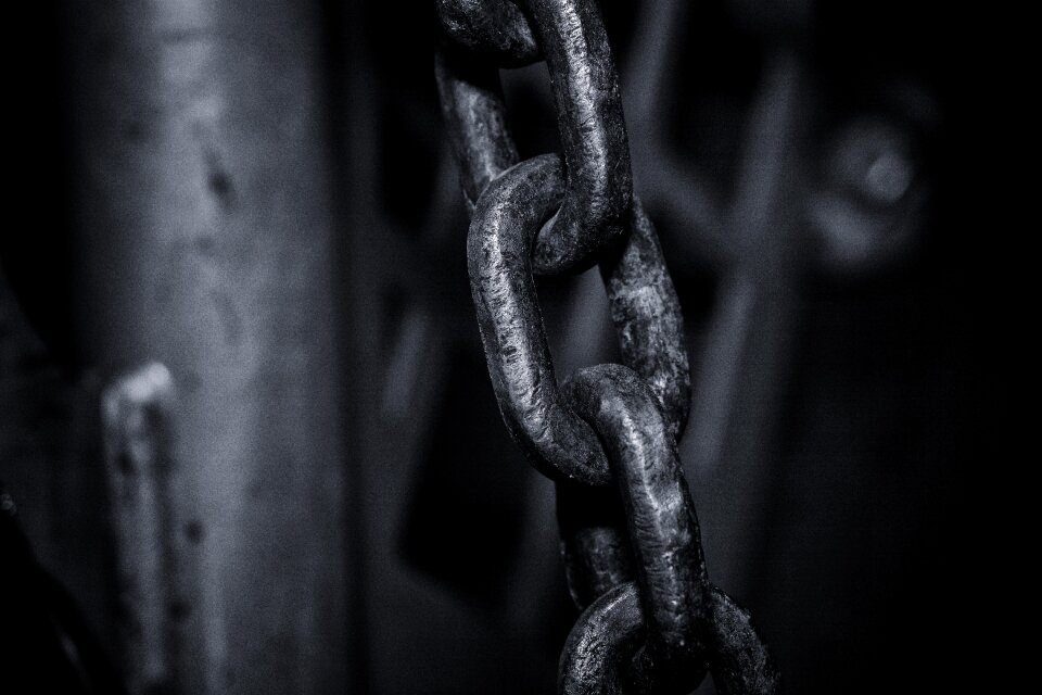 Chain members chain link