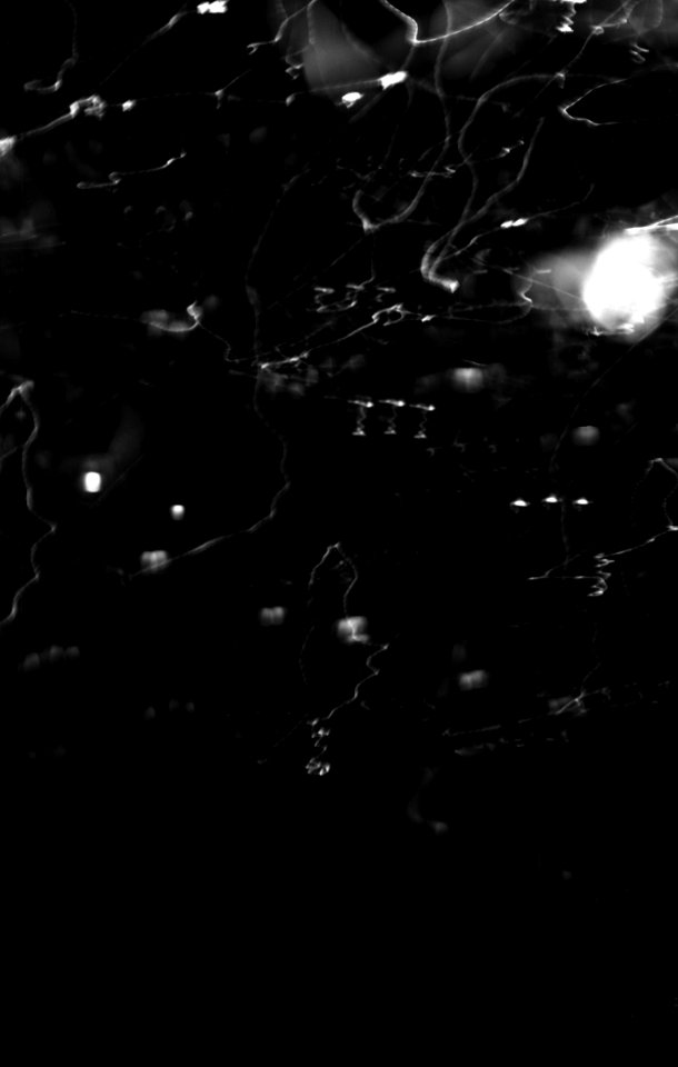 Canon Rebel XS + ORWO DP3 film - Abstract