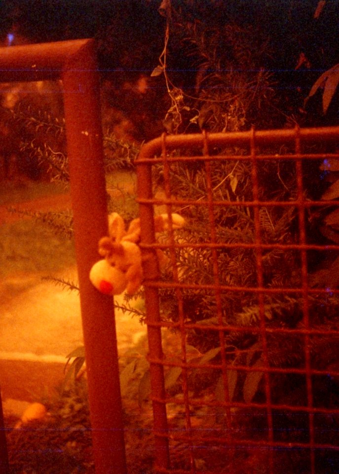 Chaika 3 - Redscale - New Scan - Toy and the Fence 2