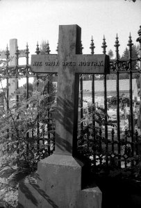 Agfa Optima 1a - Sloup Cemetery 01