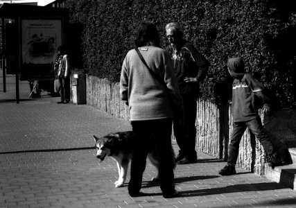 Praktica Super TL +  Helios 44-2 2/58 -  Street Contrasts