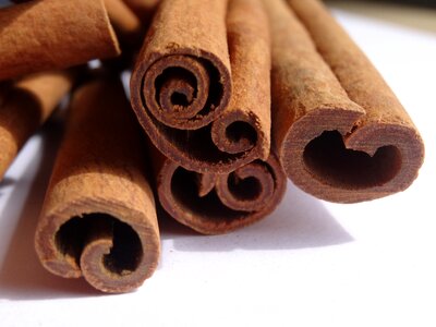 Cinnamon spices bark