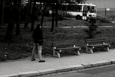 Sony Alpha A230 with Helios-44-2 - Of Man and Benches