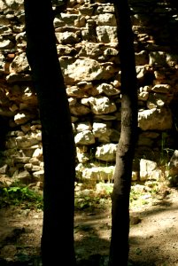 Sony Alpha A230 with MIR-1V- At the Ruins of Blansek Castle 03 (Two of Wands)