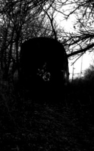 Canon Rebel XS + ORWO DP3 film - Lost Carriage Inhabited by Some People and Dog
