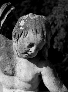 Portrait Of A Stone Child