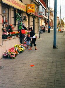 Looking at Flowers (vintage camera, scan from film)