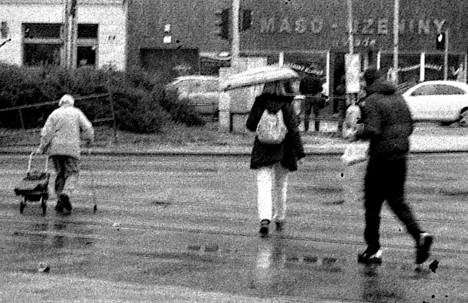 Ricoh TLS 401 with Helios 44-2 - People in a Hurry 2