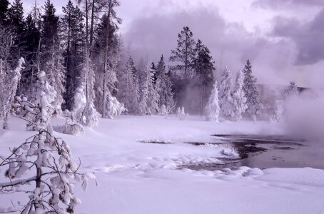 Scenic cold white photo