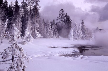 Scenic cold white