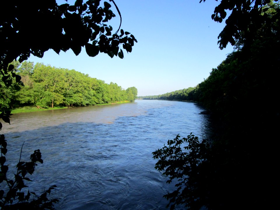 IMG 2272 Kankakee River SP Kankakee Co IL 6-25-2016