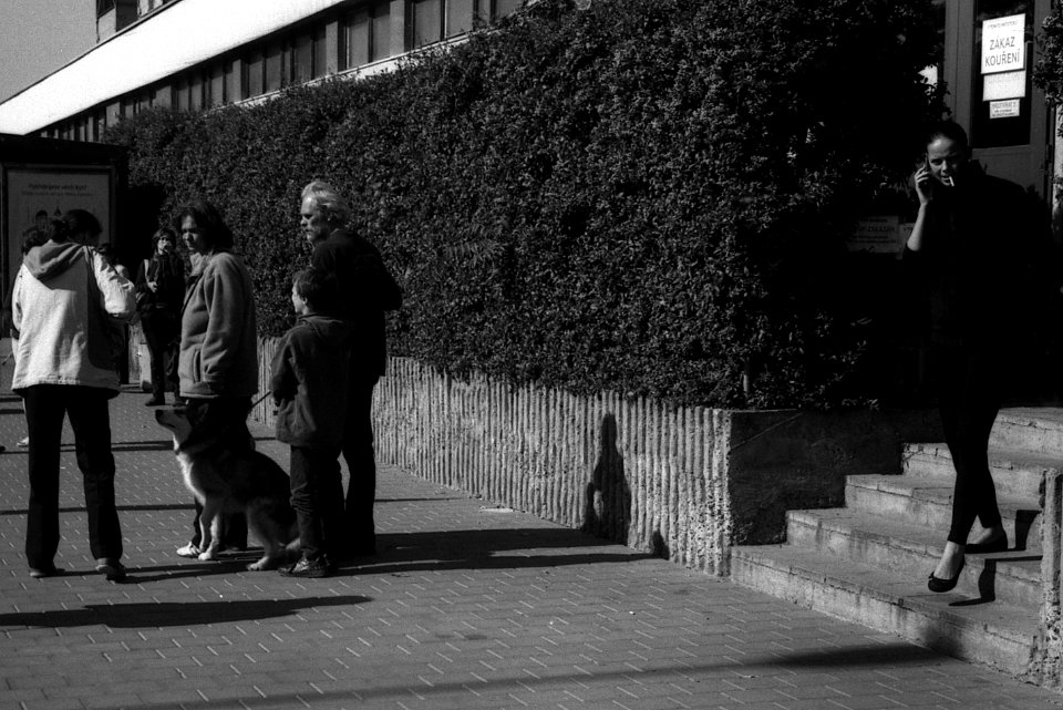 Praktica Super TL +  Helios 44-2 2/58 -  Street Contrasts