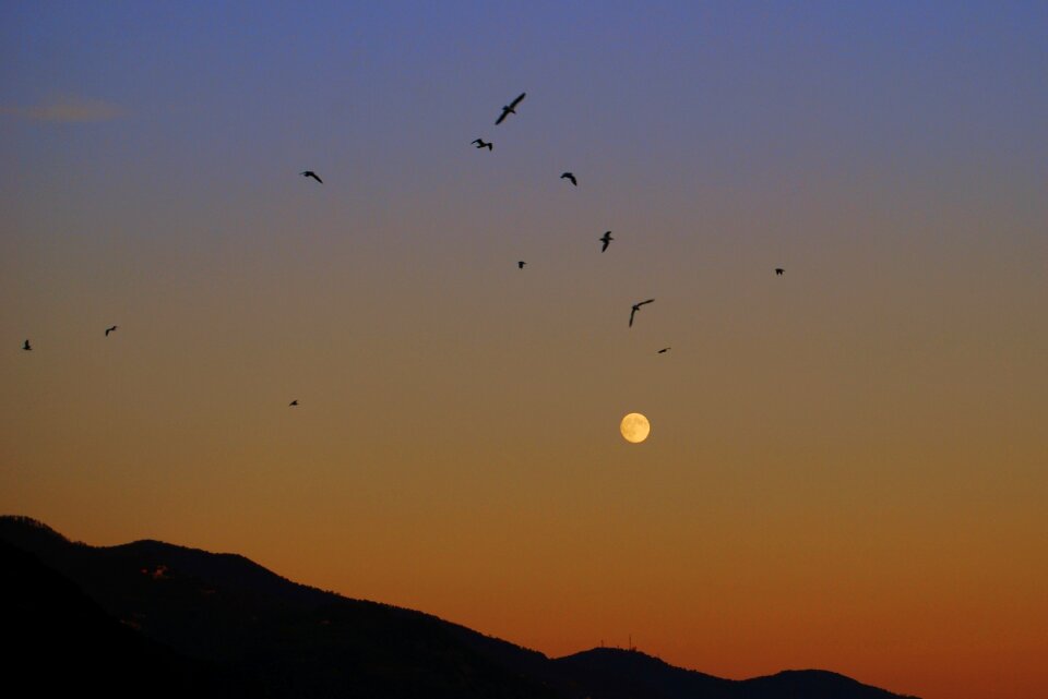 Sky mountains nature