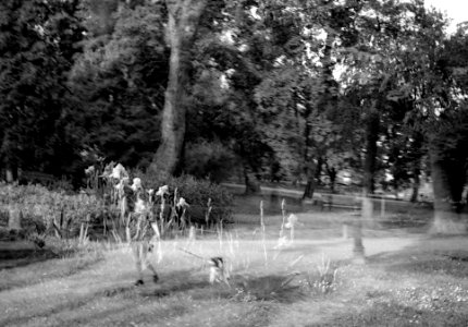 Smena 8M - Girl with a Dog (double exposure)