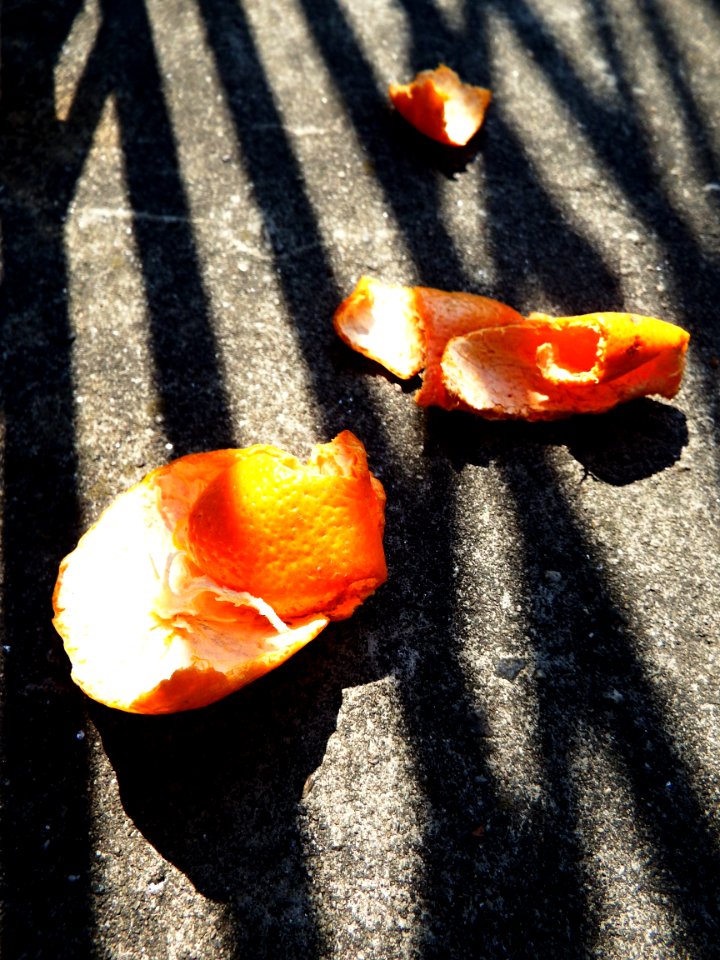 Shadows and Orange Rinds