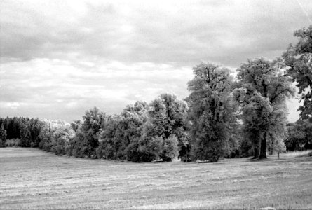 Canon EOS 30 with Canon EF 50mm f/1,8 II - Nové Dvory Avenue 04