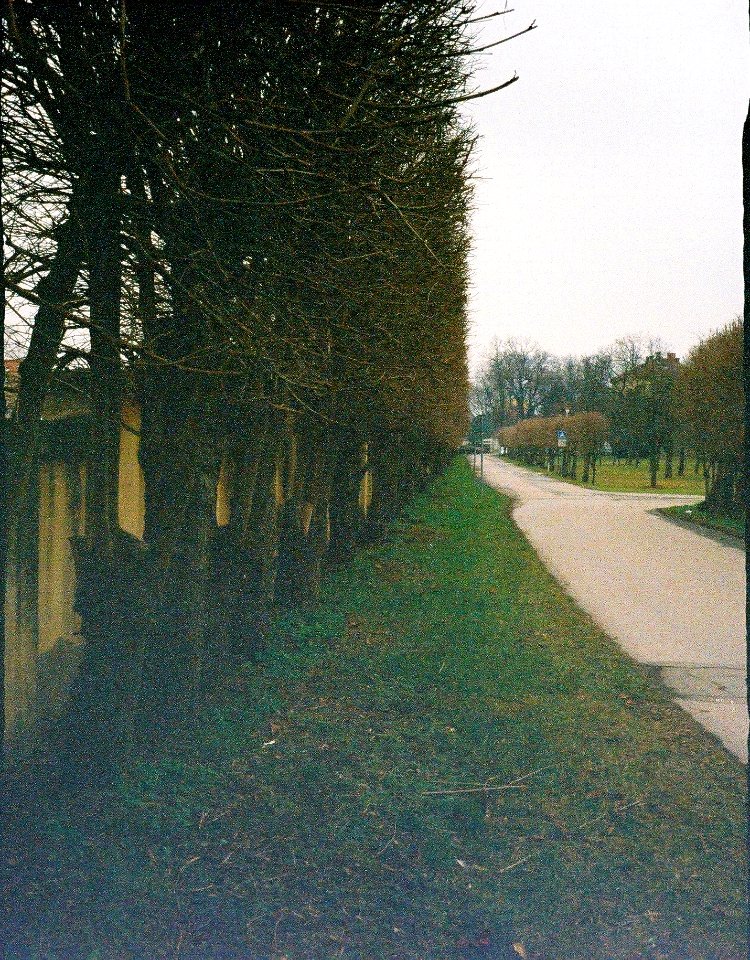 Chaika 3 - Psychiatric Hospital Brno-Černovice 2
