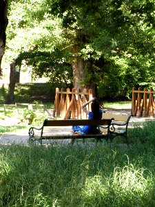 Beauty in the Park