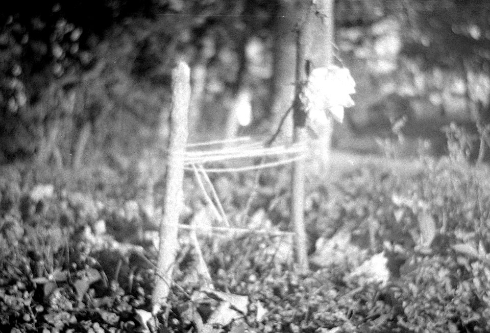 Vega II - Dying Rose