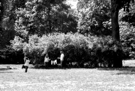 Praktica BC1 with Pentacon Prakticar 2,8/135 - Photographer in the Park