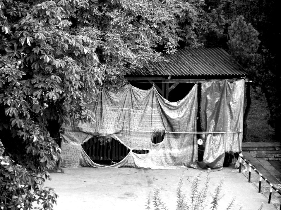 Shed at Housing Estate (B&W)