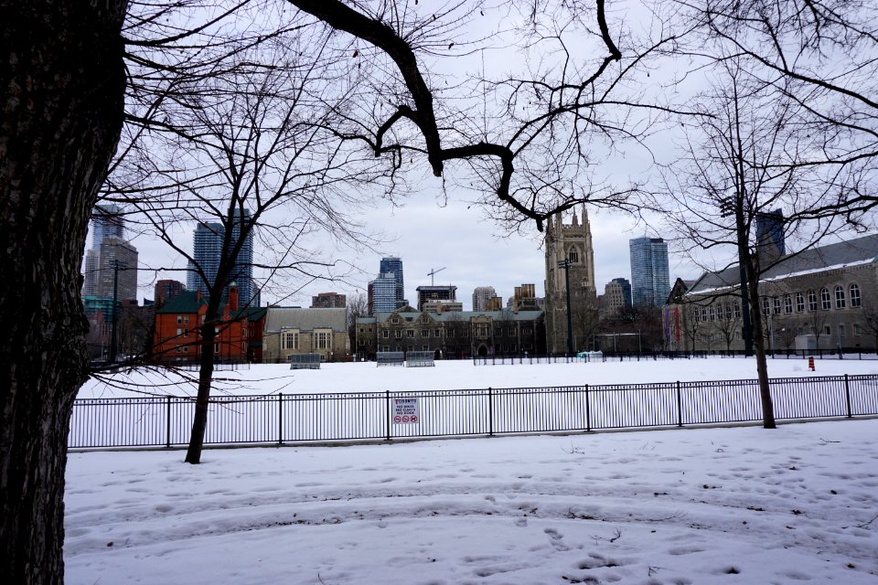 Snowy Campus in Toronto
