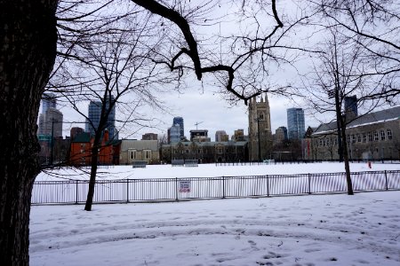 Snowy Campus in Toronto