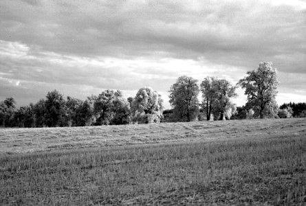 Canon EOS 30 with Canon EF 50mm f/1,8 II - Nové Dvory Avenue 01