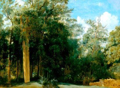 Clearing in the Forest of Fontainebleau with a Low Wall