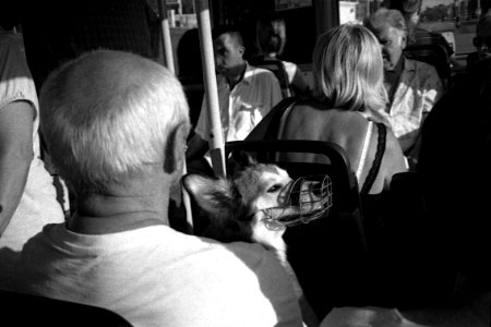 Canon Prima Zoom 80u (Sure Shot 80u) - Man witha Doggie in the Bus photo
