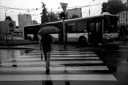 Kodak 835AF- Rainy Day 6